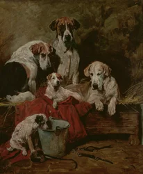 Kennel Companions