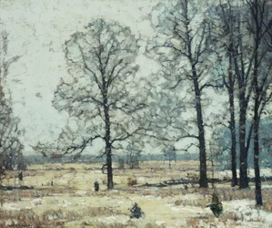 Winter Hickories