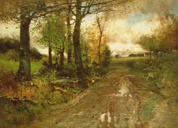 Road Through the Woods