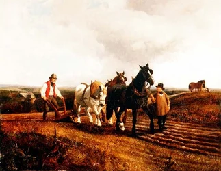 Ploughing