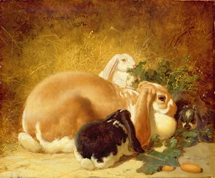 Rabbits, 1852