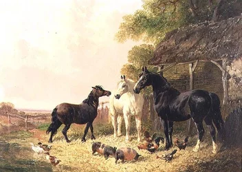 The Farmyard