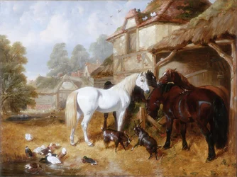 Horses in a Farmyard
