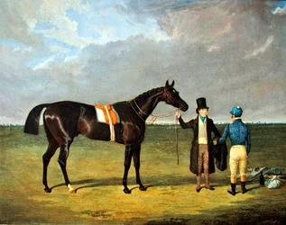The Saddler