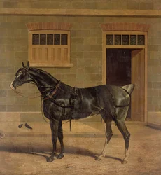 Unknown Image