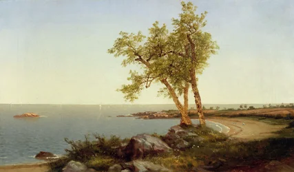 Shore Line in Summer