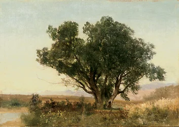 The Front Range, Colorado