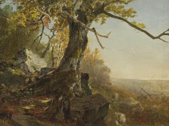 Tree in a Landscape