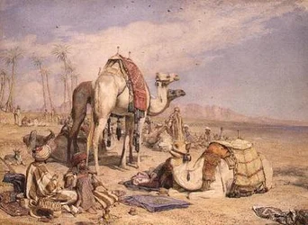 A Halt in the Desert