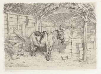 Stable Scene