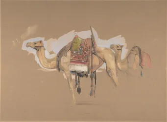 Two Camels, ca. 1843