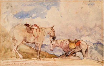 Two Horses