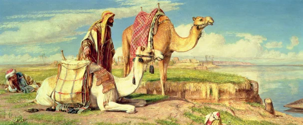 Unknown Image