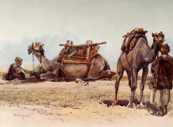 Study of Camels and Attendants