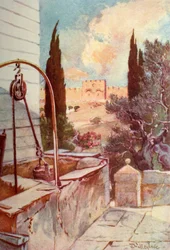 The Golden or Beautiful Gate from the Garden of Gethsemane