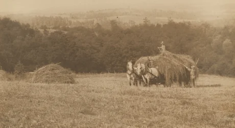 Loading Hay, 1890-1900