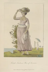 Female quadroon slave of Surinam