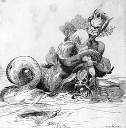 Illustration of a Sea Monster, 18th Century