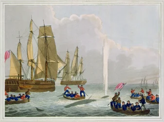 Boats Approaching a Whale, engraved by Matthew Dubourg, published by Edward Orme