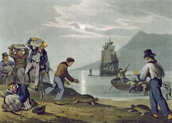 Turtle Catching on Land (engraved by Matthew Dubourg, published by Edward Orme, 1813)