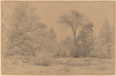 Landscape, Early Spring