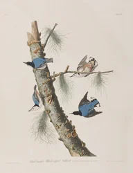 Illustration from 