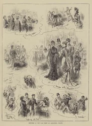 Sketches at the Goat Show at Alexandra Palace