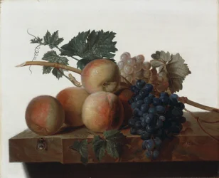 Still Life