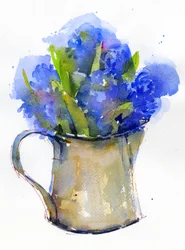 Hyacinth in pitcher, 2014