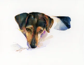 Scout portrait, 2015