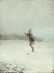 Snow Storm