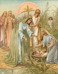 Moses in the Bullrushes