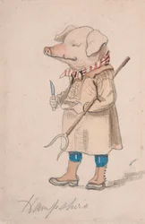 Caricature of the County Hampshire