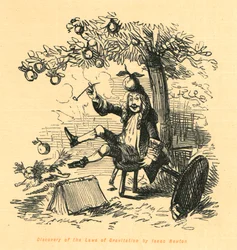 Discovery of the Laws of Gravitation by Isaac Newton