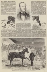 Mr J S Rarey, the American Horse-Tamer