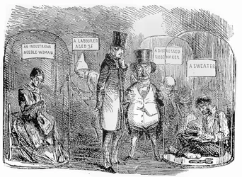 Specimens from Mr Punch