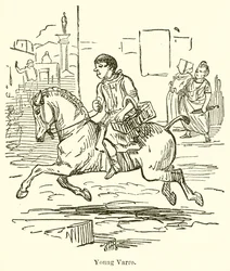 Young Varro
