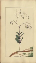 A page from the 