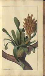 A page from the 