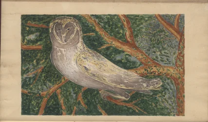 A page from the 