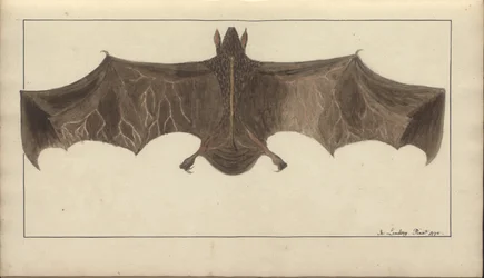 A page from the 