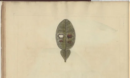 Lindsay Drawings Vol. VII, 3