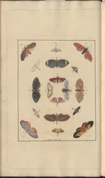 Lindsay Drawings Vol. VI, 63