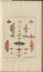 Lindsay Drawings Vol. VI, 68