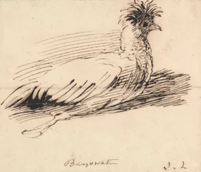 A Hen