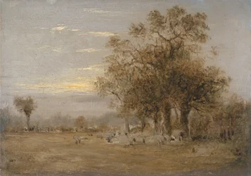 Sheep Grazing