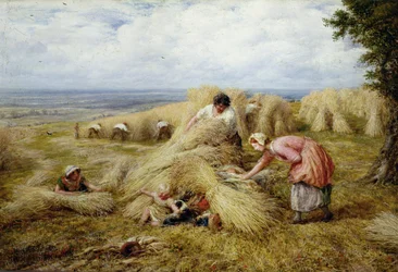 The Harvest Cradle: Noontide