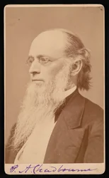 Portrait of Paul Ansel Chadbourne 1823-1883, Between 1872 and 1875