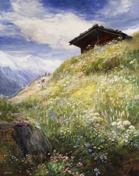 An Alpine Meadow, Switzerland