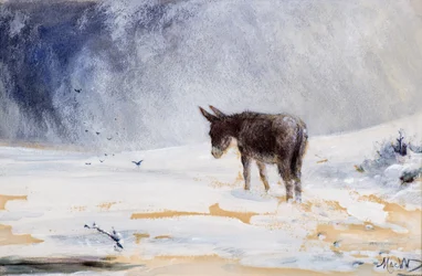Donkey in Snow